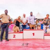 Exposition canine 2023