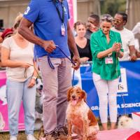 Exposition canine 2023