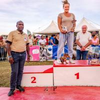 Exposition canine 2023