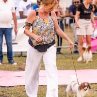 Exposition canine 2023