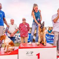 Exposition canine 2023