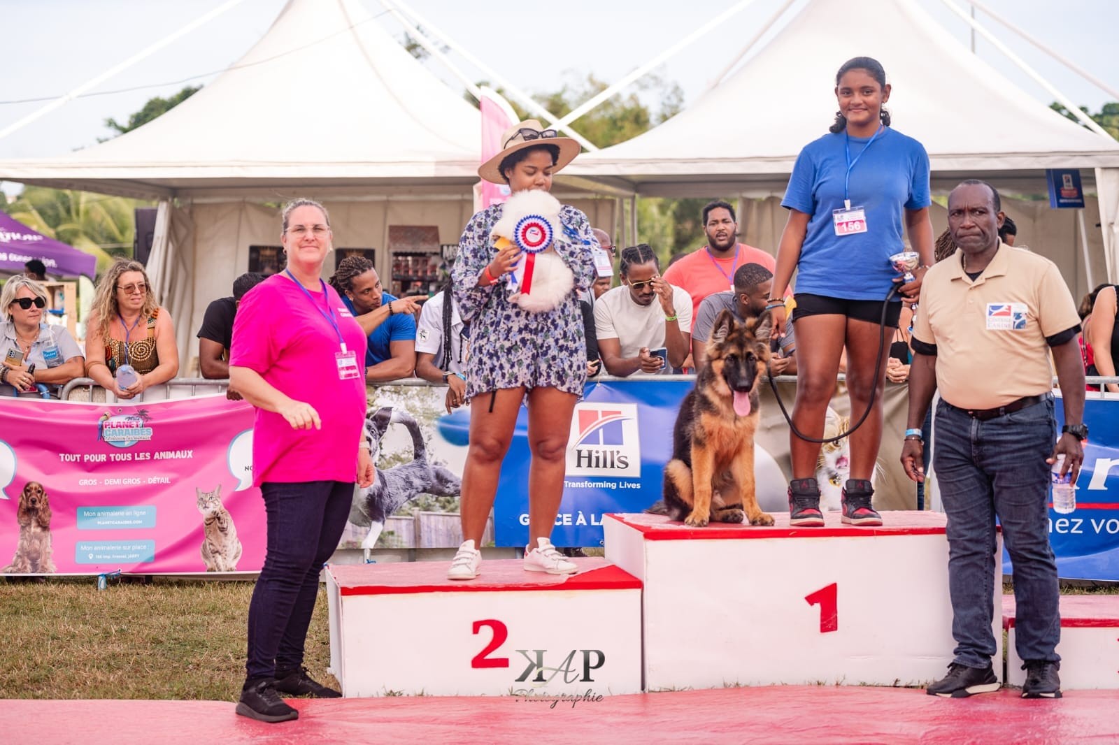 Exposition canine 2023