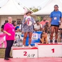 Exposition canine 2023