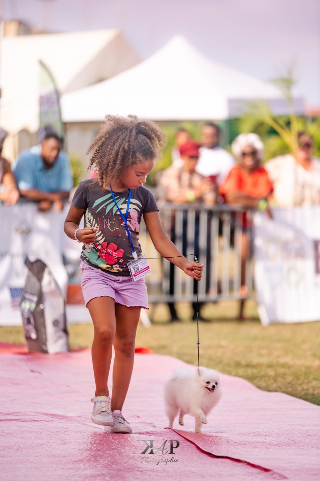 Exposition canine 2023