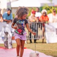 Exposition canine 2023