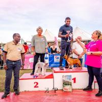 Exposition canine 2023