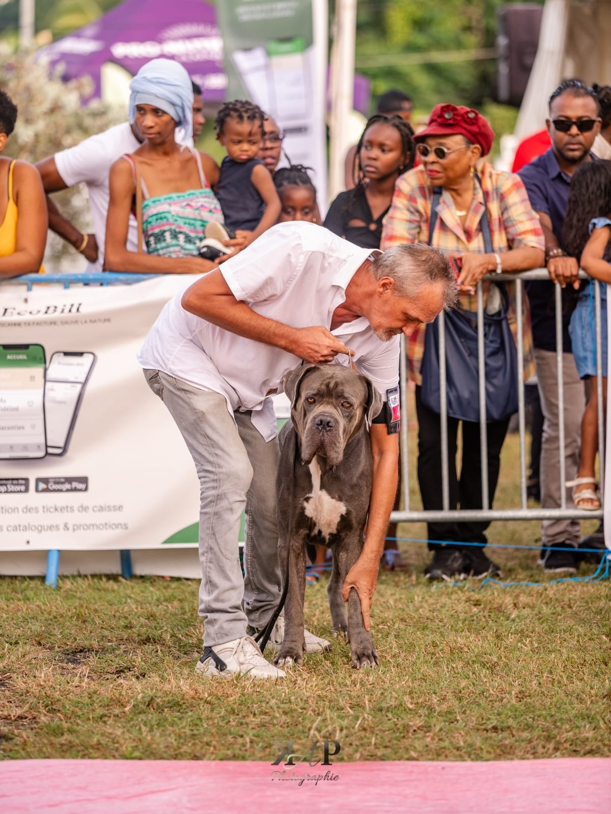 Exposition canine 2023