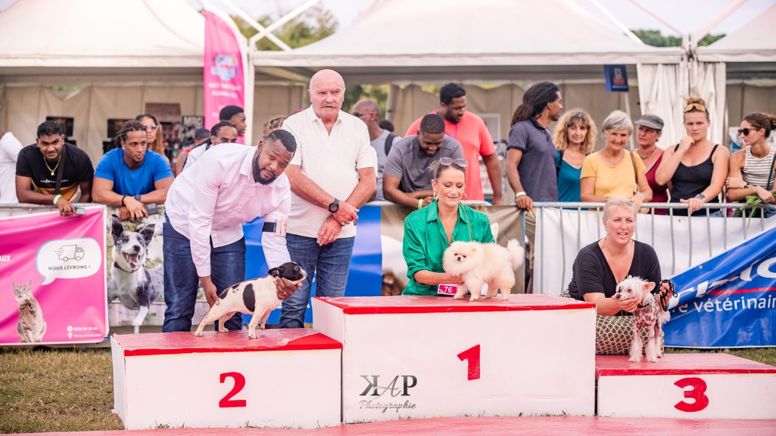 Exposition canine 2023