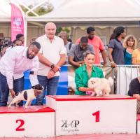 Exposition canine 2023