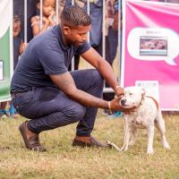 Exposition canine 2023