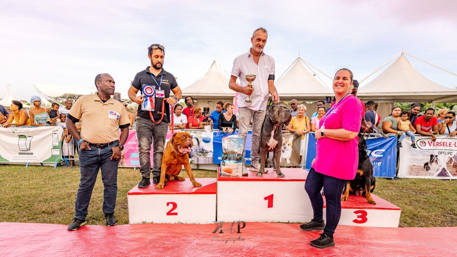 Exposition canine 2023