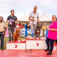 Exposition canine 2023