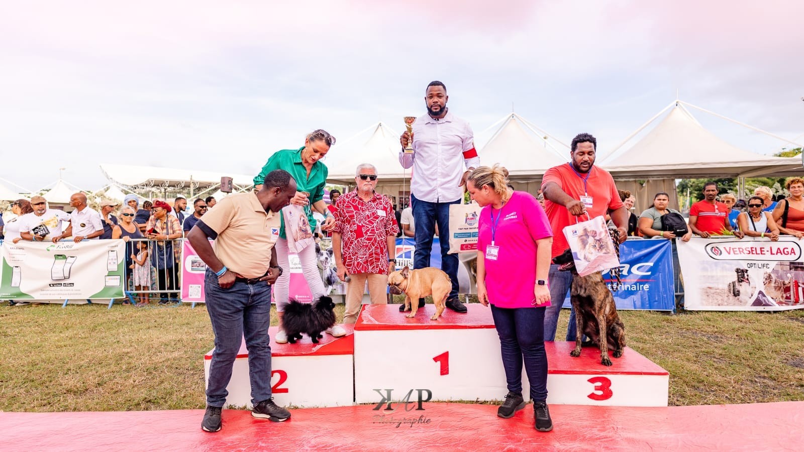 Exposition canine 2023