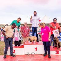 Exposition canine 2023