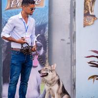 Exposition canine 2023