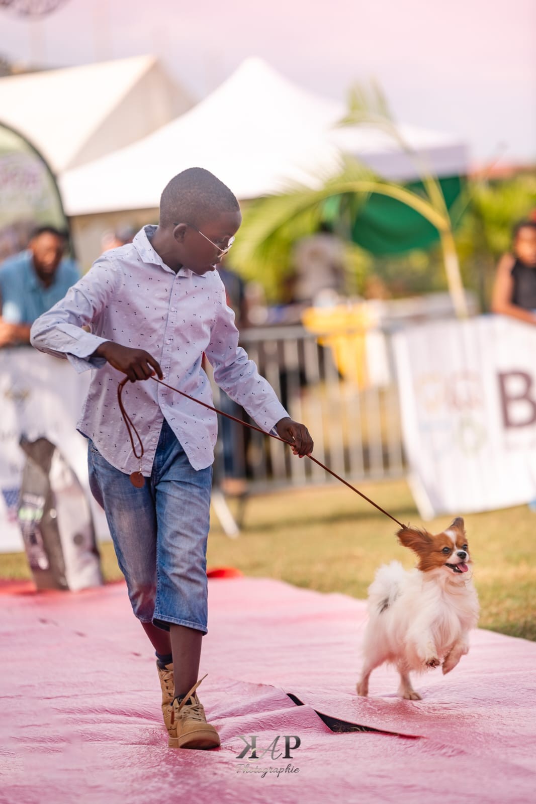 Exposition canine 2023