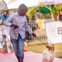 Exposition canine 2023