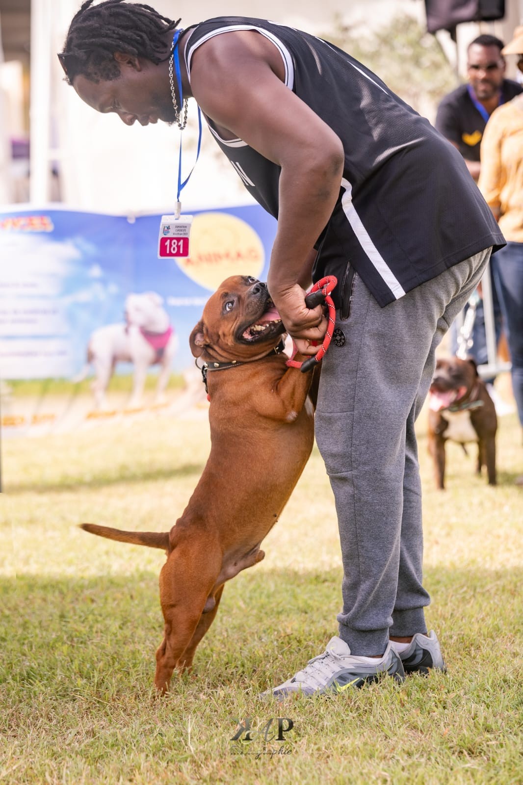 Exposition canine 2023