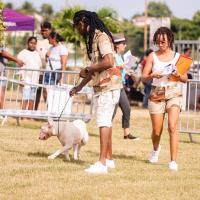Exposition canine 2023