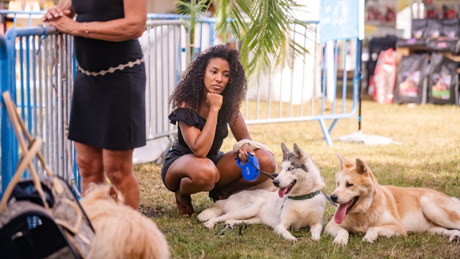 Exposition canine 2023