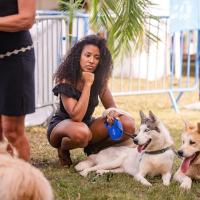 Exposition canine 2023