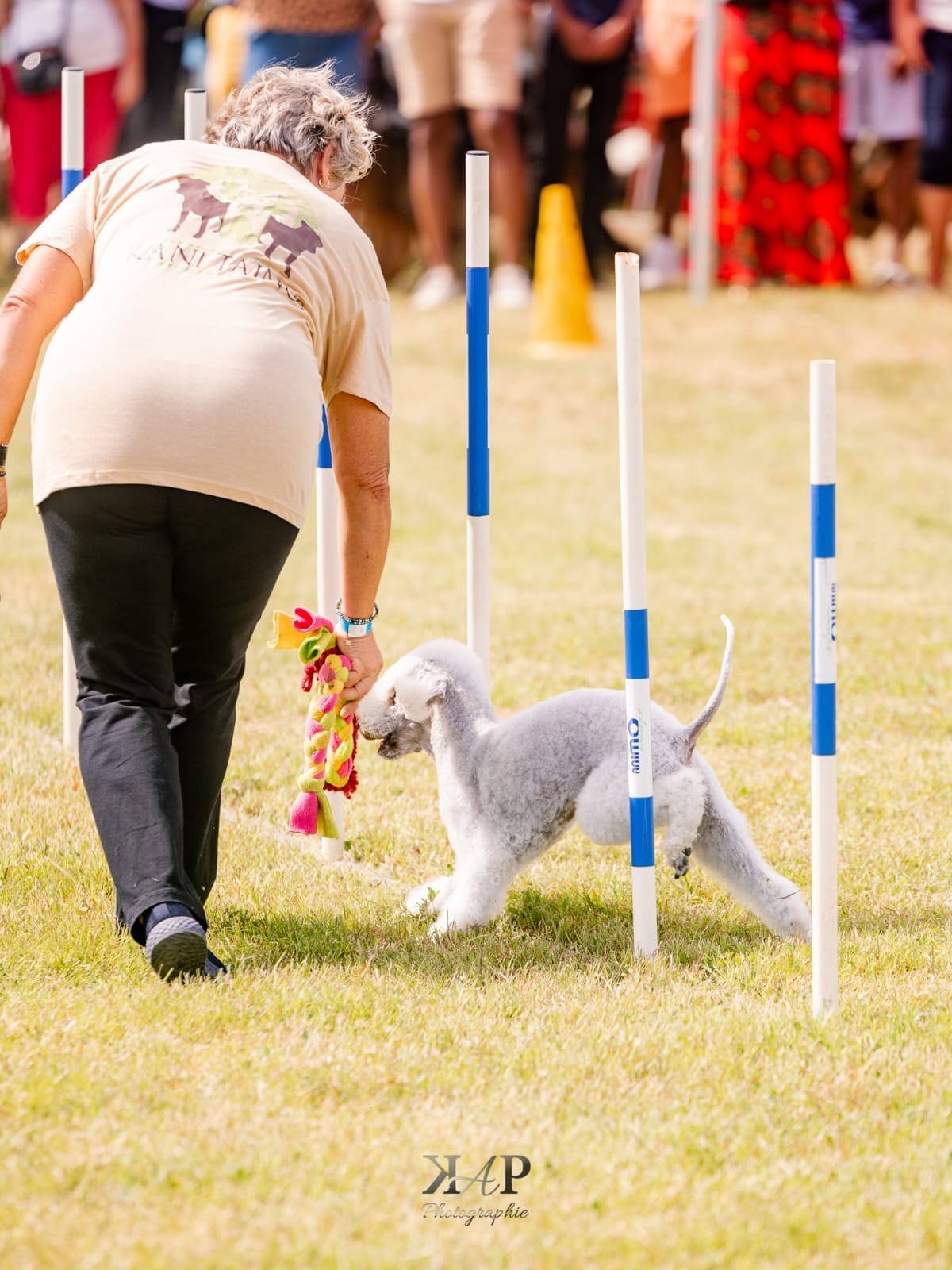 Exposition canine 2023