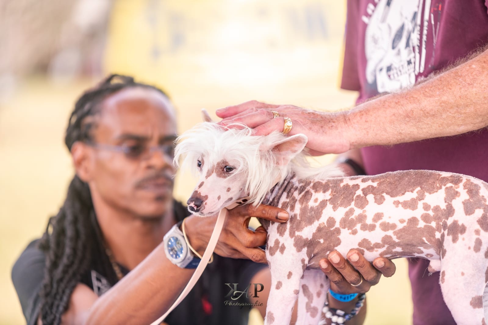 Exposition canine 2023