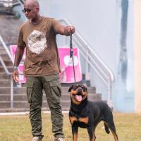 Exposition canine 2023