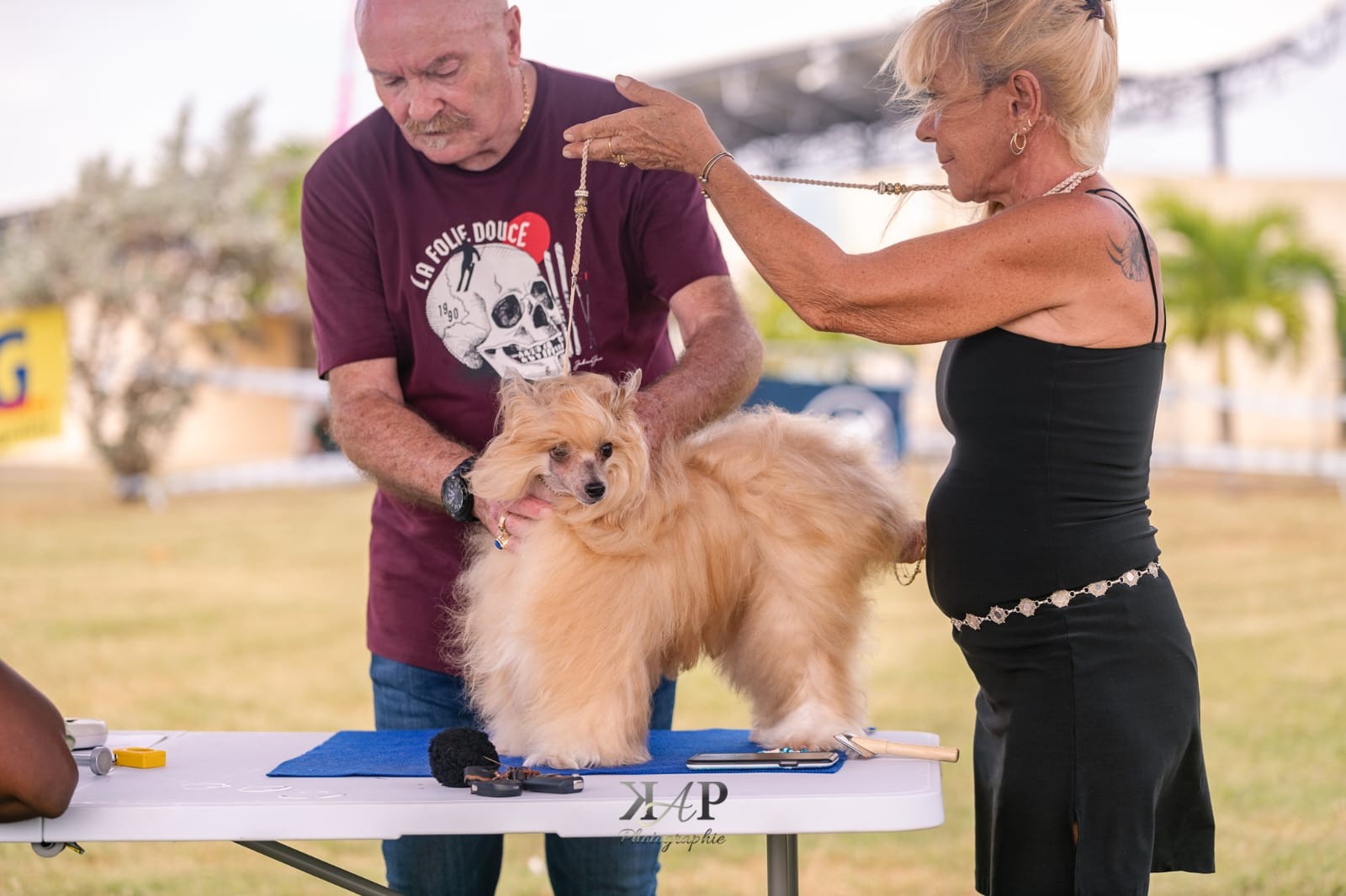 Exposition canine 2023