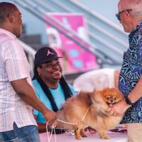 Exposition canine 2023