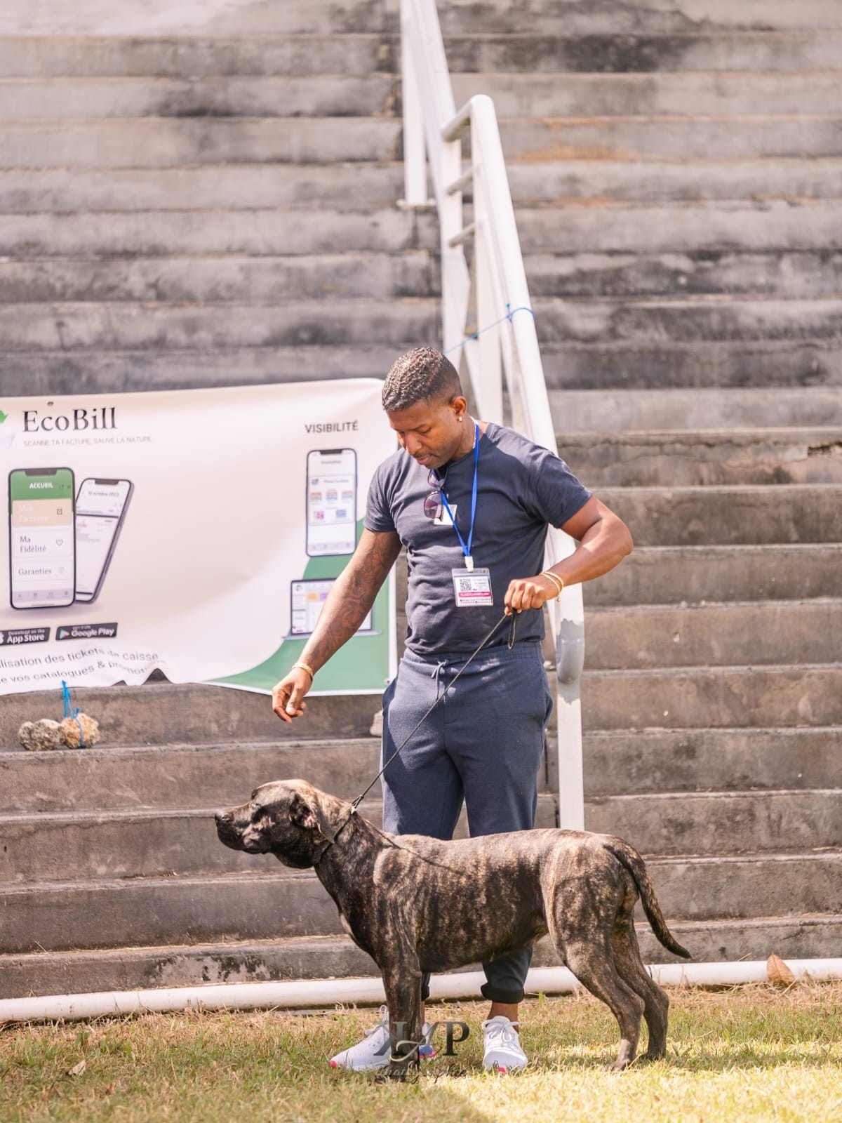 Exposition canine 2023