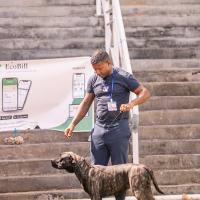 Exposition canine 2023