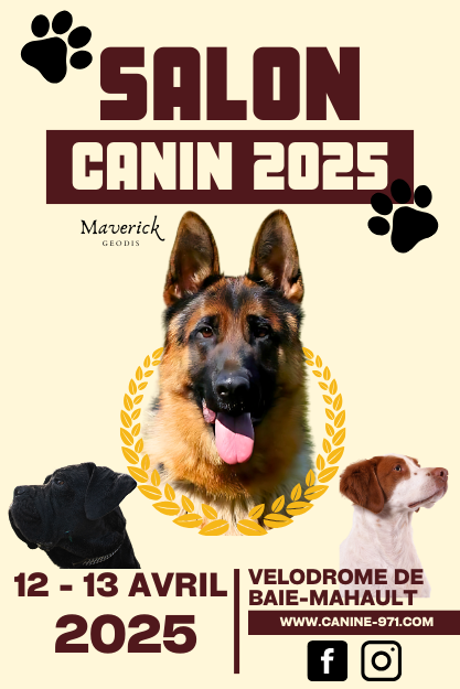 Poster salon canin 1